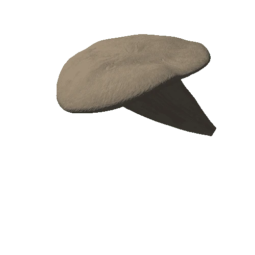 Midl mushroom 10 (6,024 tris)